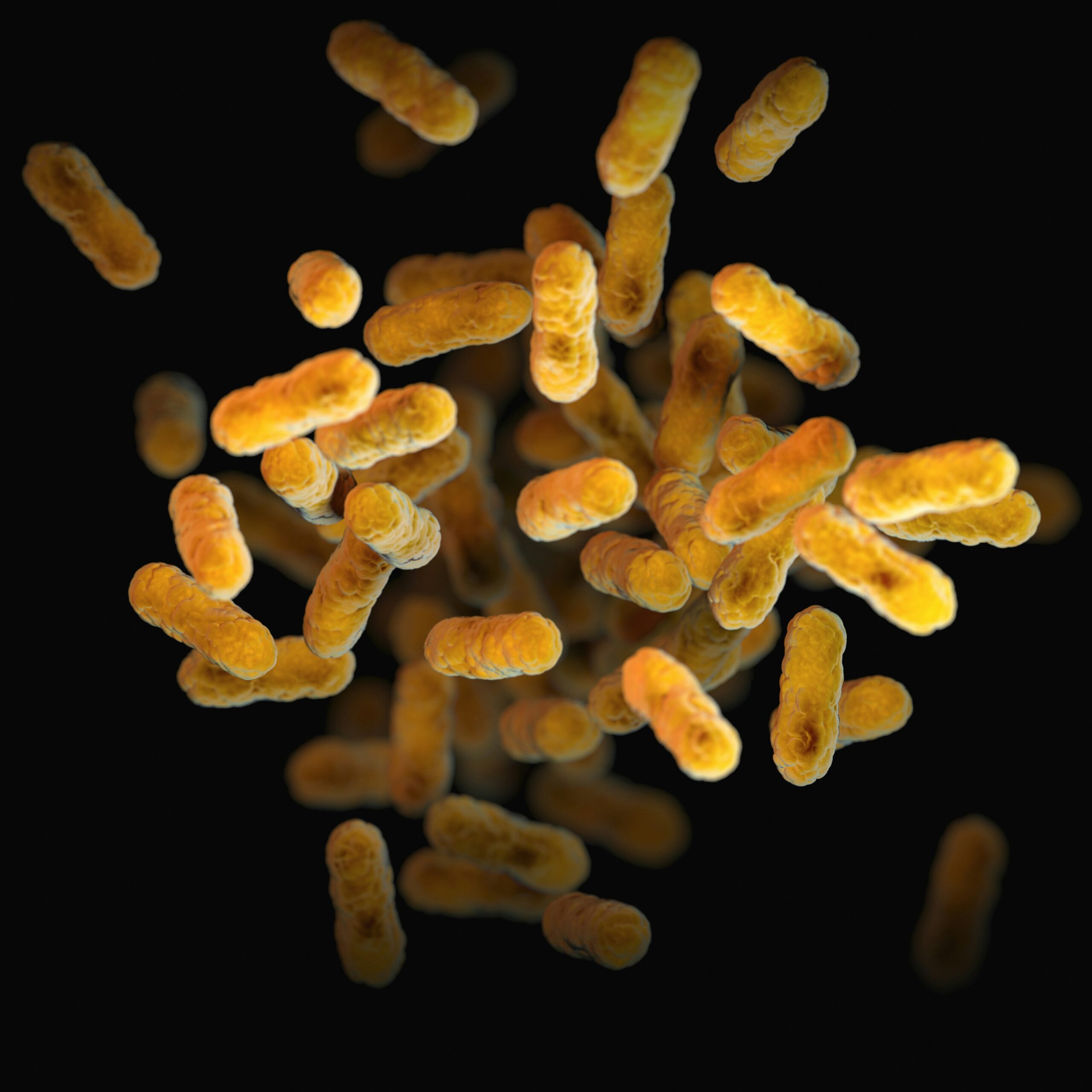 microrganismi luca simone cocolin microbiologia coltivato agricoltura ricerca